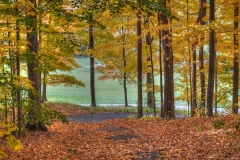 OCt24-DGC-from-woods-pano-00469